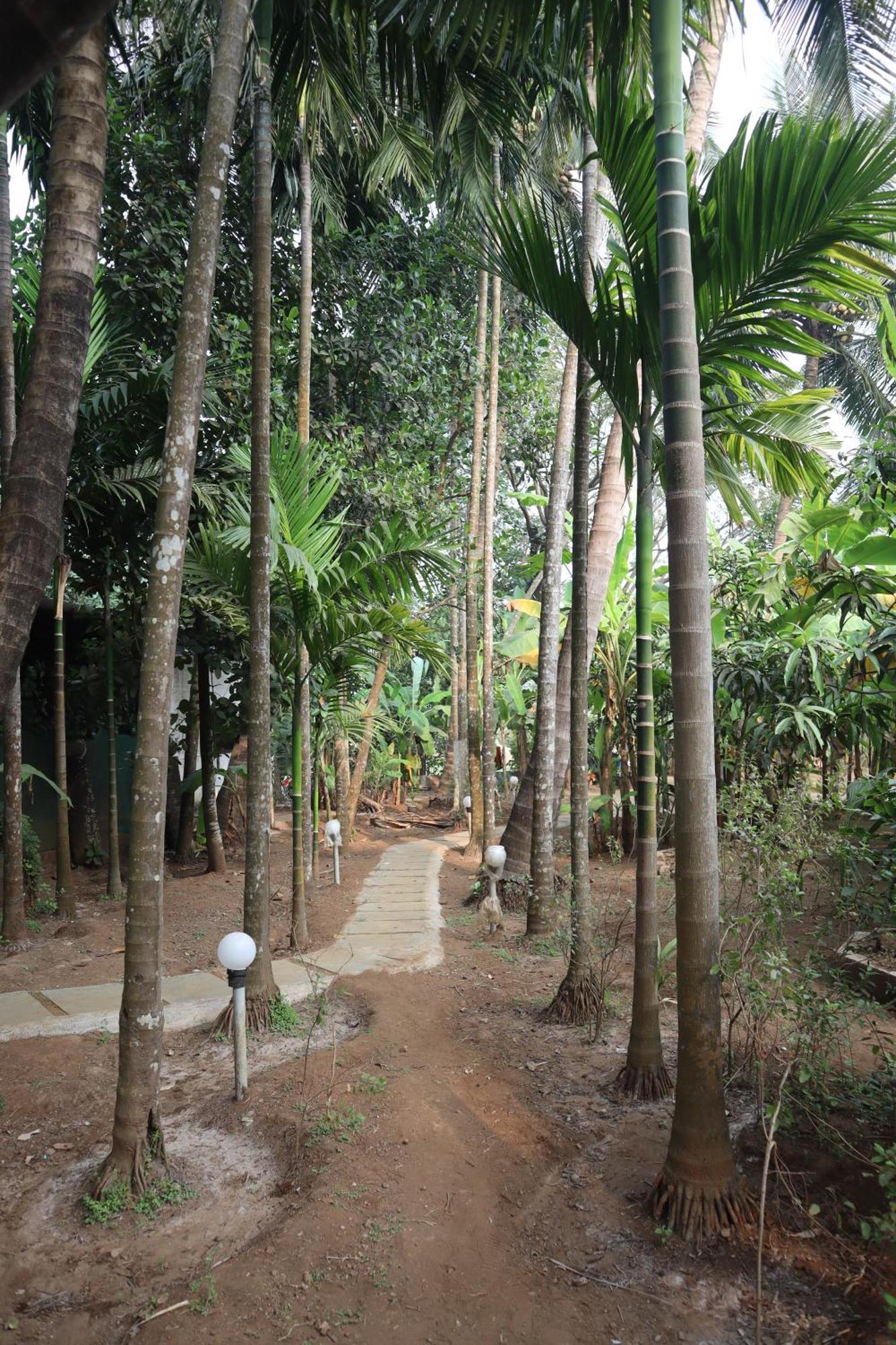 Gokul Cottage & Villa Revadanda ภายนอก รูปภาพ